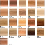 arbiton-lm-55-vzornik